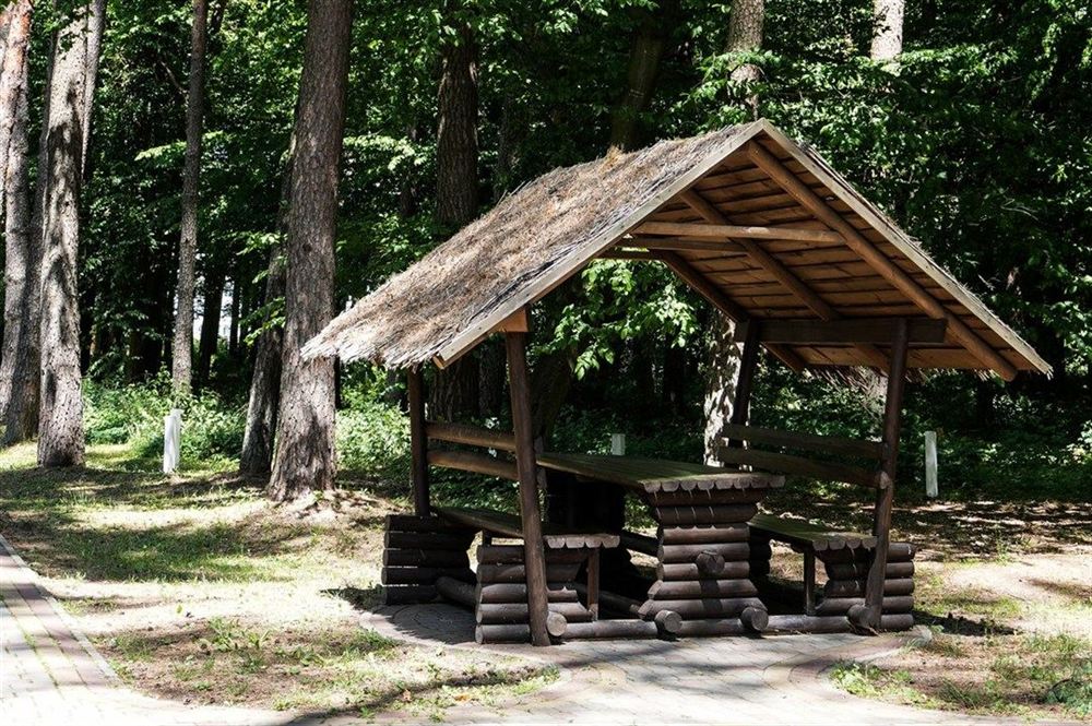 Санаторій Пролісок Фото - Затінок в лісі