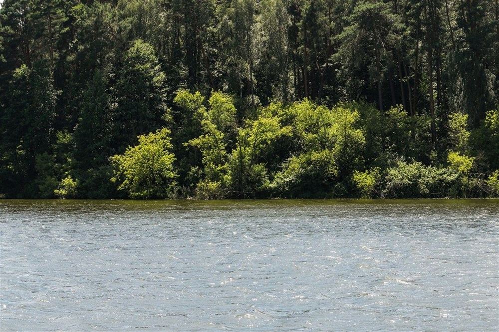 Санаторій Пролісок Фото - Пейзаж